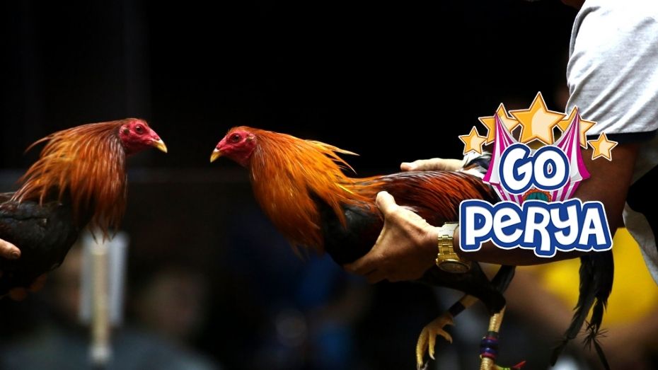 slot register free 100