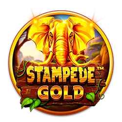 jilimine online casino how to bet on ufc fight